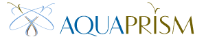Fountain’s Concept Logo